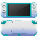 igsticker Nintendo Switch Lite 専用 デザインスキンシール 全面 ニンテンドー スイッチ ライト 専用 ゲーム機 カバー アクセサリー フィルム ステッカー エアフリー 001769 雨　水