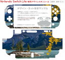 igsticker Nintendo Switch Lite 専用 デザインスキンシール 全面 ニンテンドー スイッチ ライト 専用 ゲーム機 カバー アクセサリー フィルム ステッカー エアフリー 023486 景色　写真 2