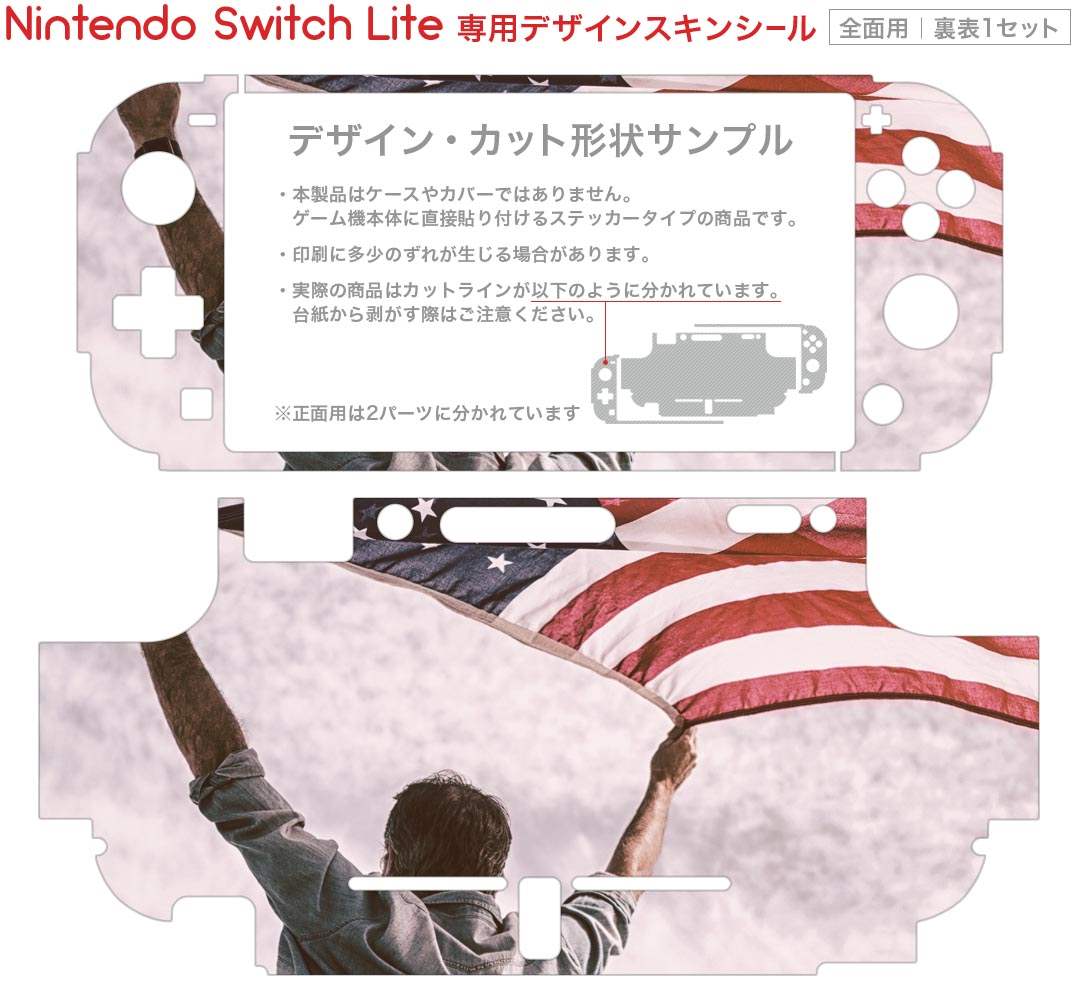 igsticker Nintendo Switch Lite 専用 デザインスキンシール 全面 ニンテンドー スイッチ ライト 専用 ゲーム機 カバー アクセサリー フィルム ステッカー エアフリー 014984 国旗　アメリカ　景色　風景　写真
