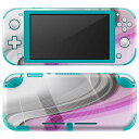 igsticker Nintendo Switch Lite 専用 デザインスキンシール 全面 ニンテンドー スイッチ ライト 専用 ゲーム機 カバー アクセサリー フィルム ステッカー エアフリー 002063 カラフル シンプル