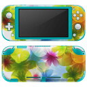 igsticker Nintendo Switch Lite p fUCXLV[ S jeh[ XCb` Cg p Q[@ Jo[ ANZT[ tB XebJ[ GAt[ 002082 ԁ@@Jt