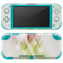 igsticker Nintendo Switch Lite 専用 デザインスキンシール 全面 ニンテンドー スイッチ ライト 専用 ゲーム機 カバー アクセサリー フィルム ステッカー エアフリー 002097 カラフル キラキラ(2)