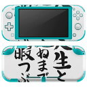 igsticker Nintendo Switch Lite p fUCXLV[ S jeh[ XCb` Cg p Q[@ Jo[ ANZT[ tB XebJ[ GAt[ 002335 {Ea @