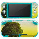 igsticker Nintendo Switch Lite 専用 デザインスキンシール 全面 ニンテンドー スイッチ ライト 専用 ゲーム機 カバー アクセサリー フィルム ステッカー エアフリー 002555 景色　風景　イラスト