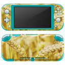 igsticker Nintendo Switch Lite 専用 デザインスキンシール 全面 ニンテンドー スイッチ ライト 専用 ゲーム機 カバー アクセサリー フィルム ステッカー エアフリー 002621 写真 秋 景色