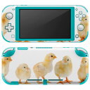 igsticker Nintendo Switch Lite p fUCXLV[ S jeh[ XCb` Cg p Q[@ Jo[ ANZT[ tB XebJ[ GAt[ 002715 @@ʐ^