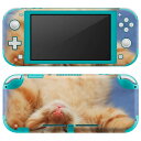 igsticker Nintendo Switch Lite 専用 デザインスキンシール 全面 ニンテンドー スイッチ ライト 専用 ゲーム機 カバー アクセサリー フィルム ステッカー エアフリー 002759 猫　動物　写真