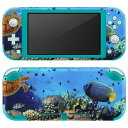 igsticker Nintendo Switch Lite 専用 デザインスキンシール 全面 ニンテンドー スイッチ ライト 専用 ゲーム機 カバー アクセサリー フィルム ステッカー エアフリー 002823 海 写真 カラフル(2)
