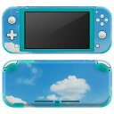 igsticker Nintendo Switch Lite 専用 デザインスキンシール 全面 ニンテンドー スイッチ ライト 専用 ゲーム機 カバー アクセサリー フィルム ステッカー エアフリー 002835 空 写真(2)
