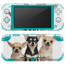 igsticker Nintendo Switch Lite 専用 デザインスキンシール 全面 ニンテンドー スイッチ ライト 専用 ゲーム機 カバー アクセサリー フィルム ステッカー エアフリー 002885 犬　動物　写真