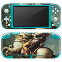 igsticker Nintendo Switch Lite 専用 デザインスキンシール 全面 ニンテンドー スイッチ ライト 専用 ゲーム機 カバー アクセサリー フィルム ステッカー エアフリー 003184(2)