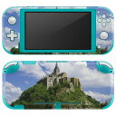 igsticker Nintendo Switch Lite 専用 デザインスキンシール 全面 ニンテンドー スイッチ ライト 専用 ゲーム機 カバー アクセサリー フィルム ステッカー エアフリー 003273 クール 外国　写真　景色　風景