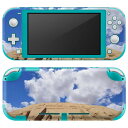 igsticker Nintendo Switch Lite 専用 デザインスキンシール 全面 ニンテンドー スイッチ ライト 専用 ゲーム機 カバー アクセサリー フィルム ステッカー エアフリー 003296 クール 外国　写真　景色　風景