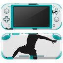 igsticker Nintendo Switch Lite 専用 デザインスキンシール 全面 ニンテンドー スイッチ ライト 専用 ゲーム機 カバー アクセサリー フィルム ステッカー エアフリー 020046 スポーツ バスケット