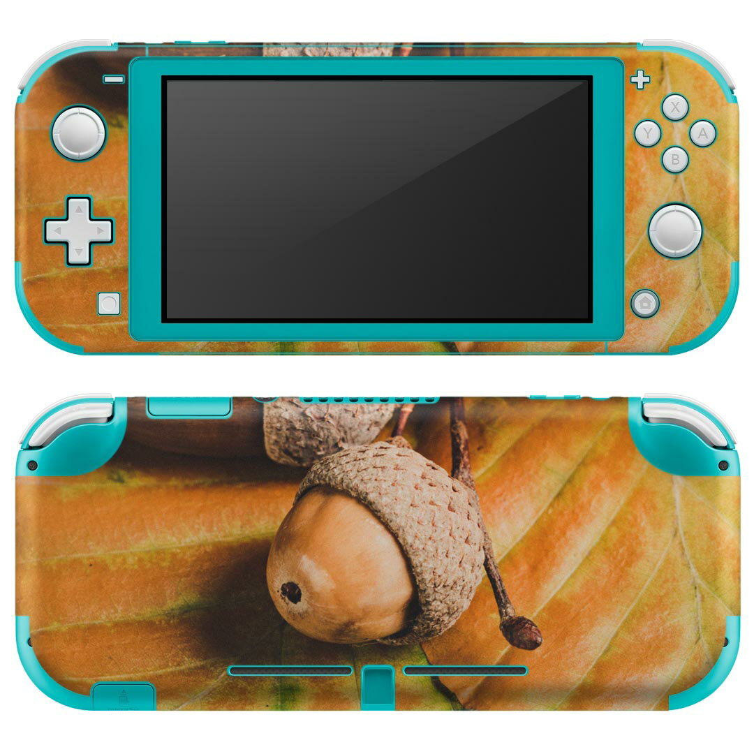 igsticker Nintendo Switch Lite 専用 デザインスキンシール 全面 ニンテンドー スイッチ ライト 専用 ゲーム機 カバー アクセサリー フィルム ステッカー エアフリー 022839 葉っぱ 秋 写真