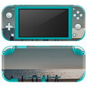 igsticker Nintendo Switch Lite 専用 デザインスキンシール 全面 ニンテンドー スイッチ ライト 専用 ゲーム機 カバー アクセサリー フィルム ステッカー エアフリー 022853 写真 アロハ ビーチ(2)