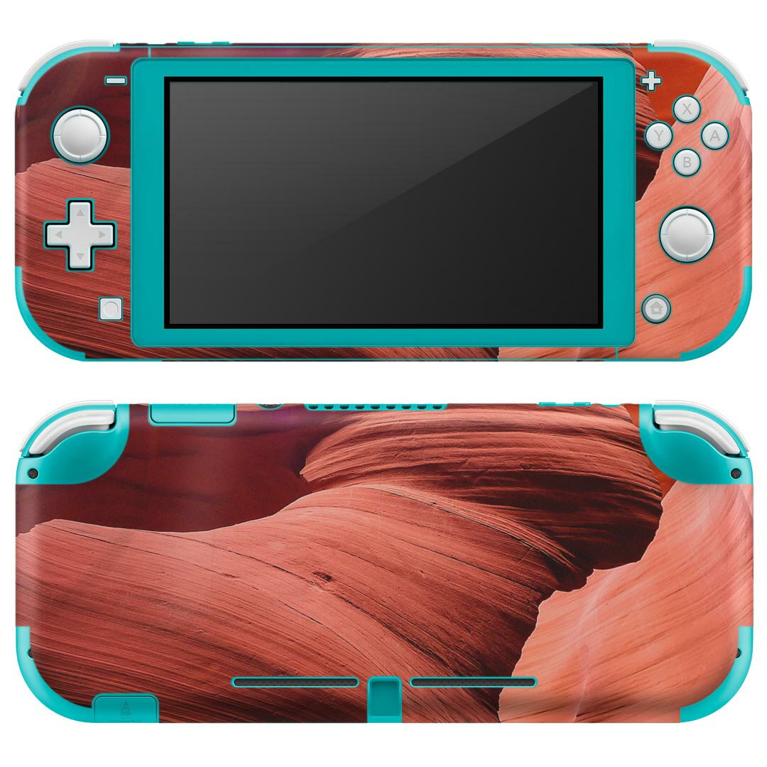 igsticker Nintendo Switch Lite 専用 デザインスキンシール 全面 ニンテンドー スイッチ ライト 専用 ゲーム機 カバー アクセサリー フィルム ステッカー エアフリー 022871 岩