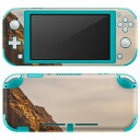 igsticker Nintendo Switch Lite 専用 デザインスキンシール 全面 ニンテンドー スイッチ ライト 専用 ゲーム機 カバー アクセサリー フィルム ステッカー エアフリー 022953 サーフィン 海 写真 岩(2)