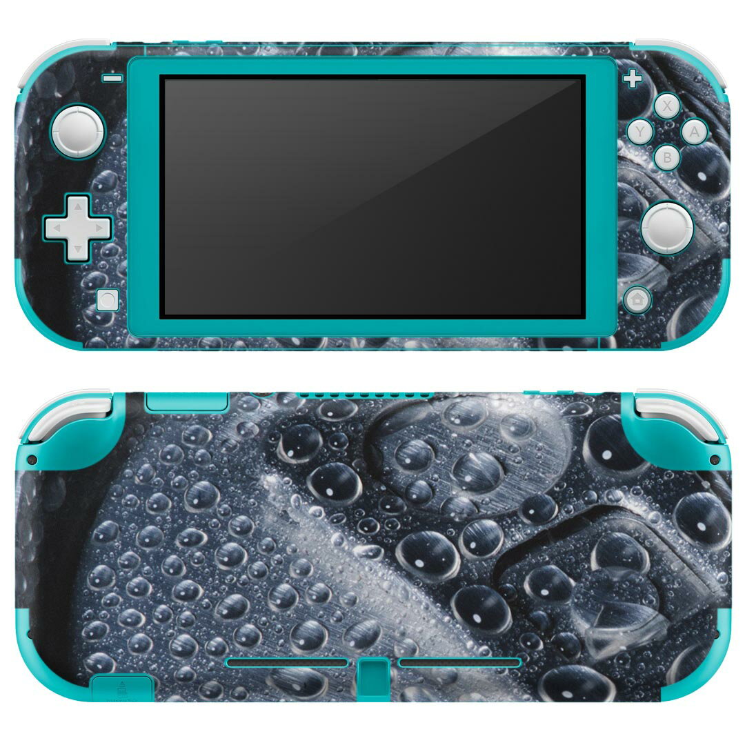 igsticker Nintendo Switch Lite 専用 デザインスキンシール 全面 ニンテンドー スイッチ ライト 専用 ゲーム機 カバー アクセサリー フィルム ステッカー エアフリー 022972 写真 缶