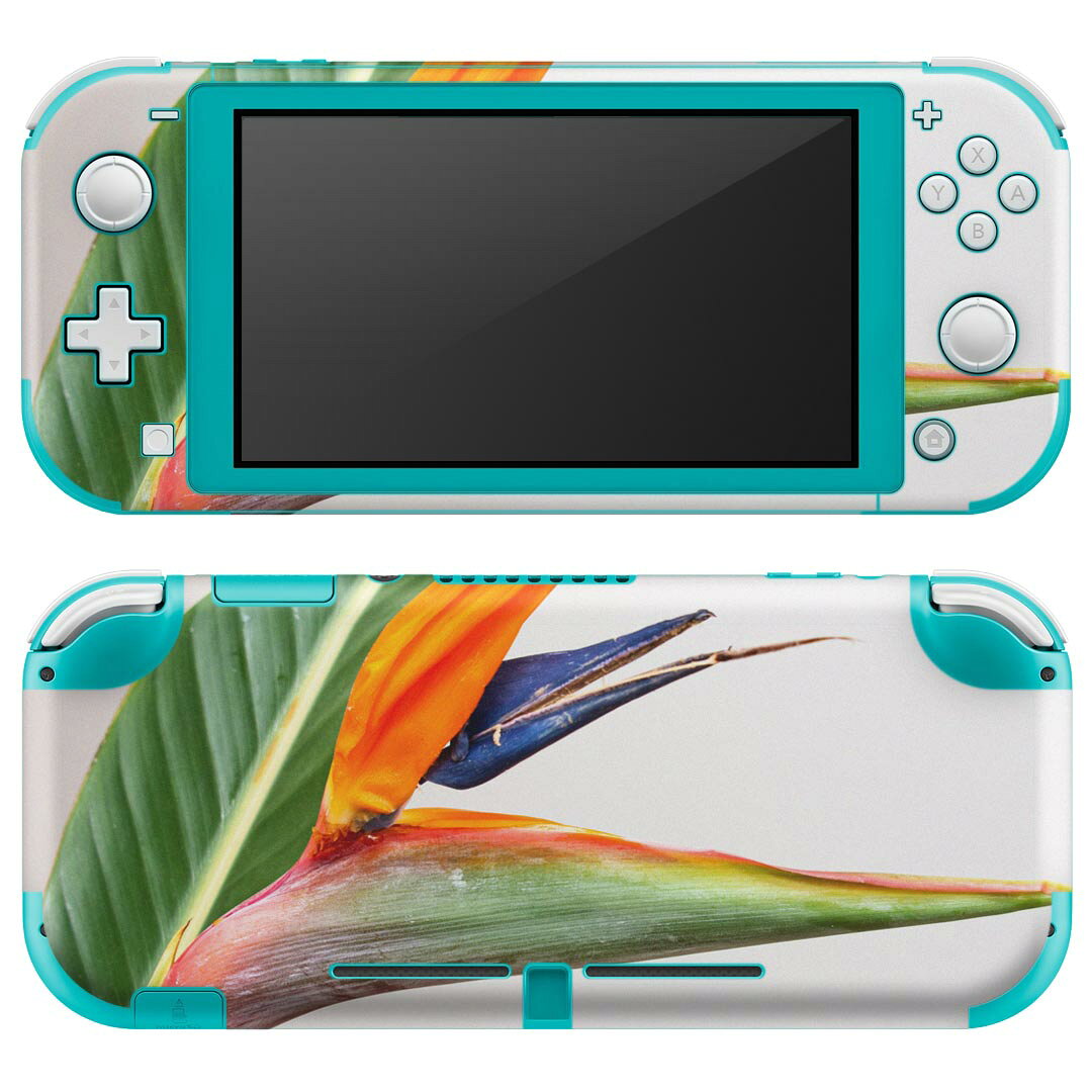 igsticker Nintendo Switch Lite 専用 デザインスキンシール 全面 ニンテンドー スイッチ ライト 専用 ゲーム機 カバー アクセサリー フィルム ステッカー エアフリー 022987 花　カラフル　写真