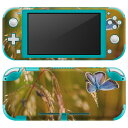 igsticker Nintendo Switch Lite 専用 デザインスキンシール 全面 ニンテンドー スイッチ ライト 専用 ゲーム機 カバー アクセサリー フィルム ステッカー エアフリー 023045 蝶々 自然 景色(2)