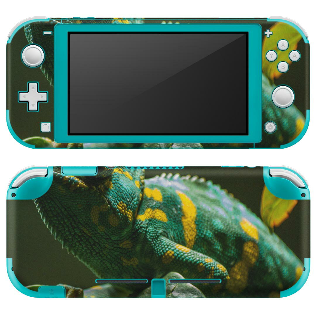 igsticker Nintendo Switch Lite 専用 デザインスキンシール 全面 ニンテンドー スイッチ ライト 専用 ゲーム機 カバー アクセサリー フィルム ステッカー エアフリー 023102 イグアナ　写真　生き物