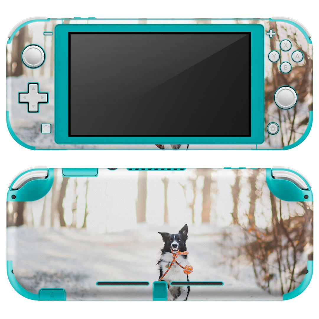 igsticker Nintendo Switch Lite 専用 デザインスキンシール 全面 ニンテンドー スイッチ ライト 専用 ゲーム機 カバー アクセサリー フィルム ステッカー エアフリー 023218 犬　写真　雪