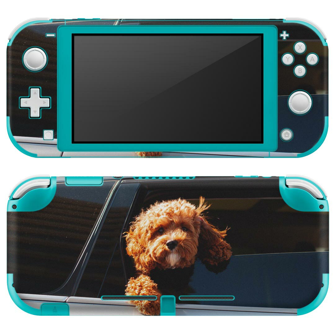 igsticker Nintendo Switch Lite 専用 デザインスキンシール 全面 ニンテンドー スイッチ ライト 専用 ゲーム機 カバー アクセサリー フィルム ステッカー エアフリー 023221 犬　車　写真