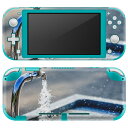 igsticker Nintendo Switch Lite 専用 デザインスキンシール 全面 ニンテンドー スイッチ ライト 専用 ゲーム機 カバー アクセサリー フィルム ステッカー エアフリー 023268 水道 写真 風景(2)