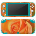 igsticker Nintendo Switch Lite p fUCXLV[ S jeh[ XCb` Cg p Q[@ Jo[ ANZT[ tB XebJ[ GAt[ 023307 ԁ@t[@ʐ^