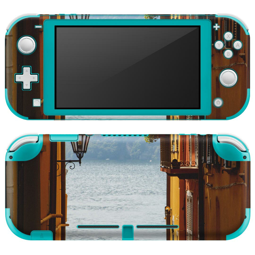 igsticker Nintendo Switch Lite 専用 デザインスキンシール 全面 ニンテンドー スイッチ ライト 専用 ゲーム機 カバー アクセサリー フィルム ステッカー エアフリー 023444 湖 写真 風景