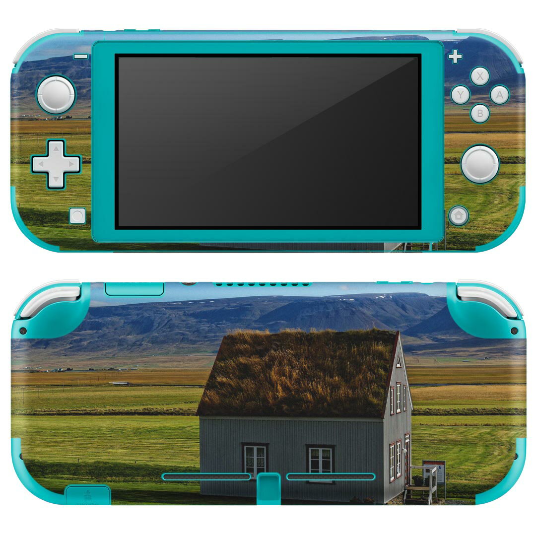 igsticker Nintendo Switch Lite 専用 デザインスキンシール 全面 ニンテンドー スイッチ ライト 専用 ゲーム機 カバー アクセサリー フィルム ステッカー エアフリー 023446 風景 自然 写真