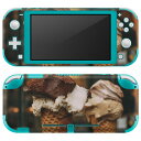igsticker Nintendo Switch Lite 専用 デザインスキンシール 全面 ニンテンドー スイッチ ライト 専用 ゲーム機 カバー アクセサリー フィルム ステッカー エアフリー 023456 アイスクリーム 写真 食べ物