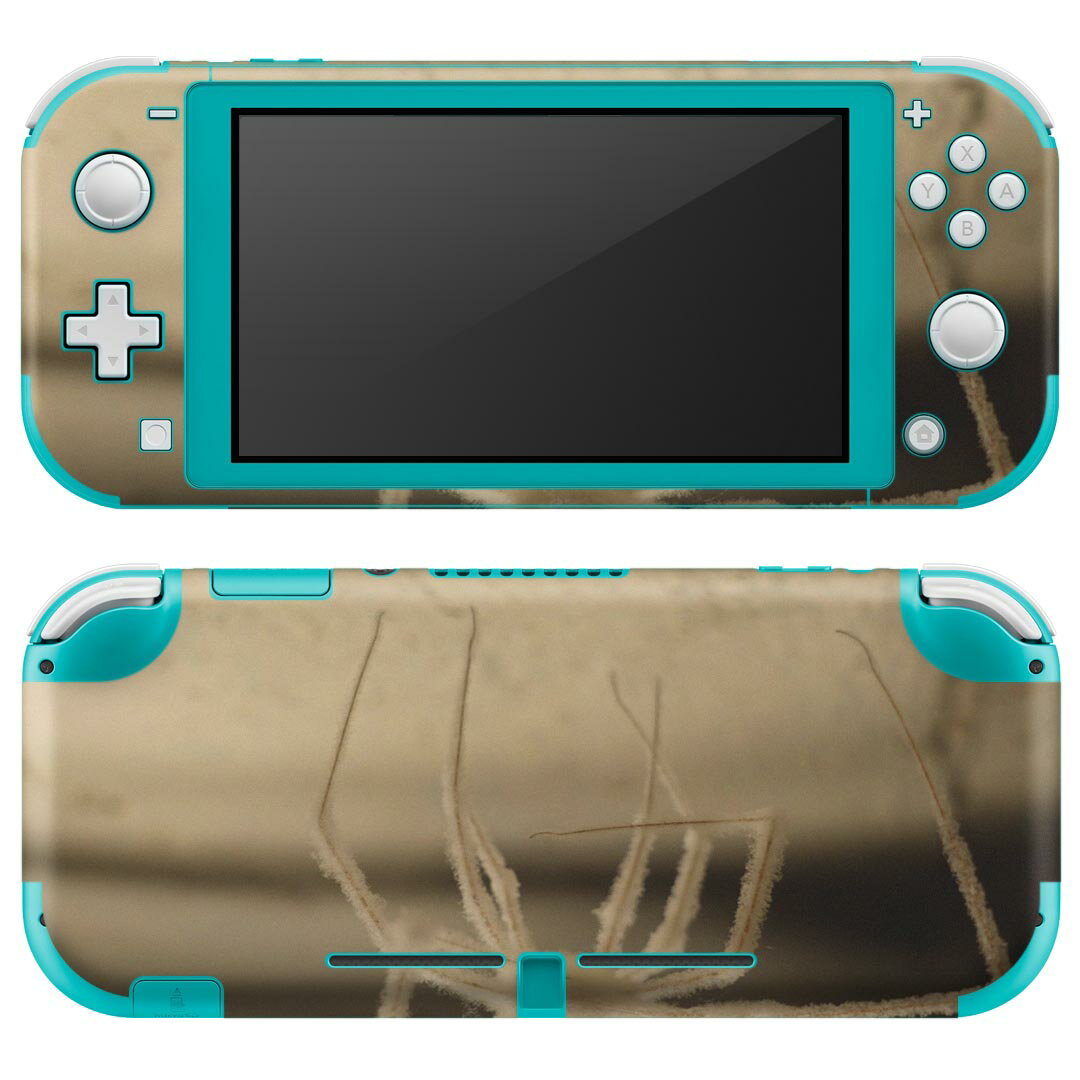 igsticker Nintendo Switch Lite 専用 デザインスキンシール 全面 ニンテンドー スイッチ ライト 専用 ゲーム機 カバー アクセサリー フィルム ステッカー エアフリー 023462 蜘蛛　生き物　写真