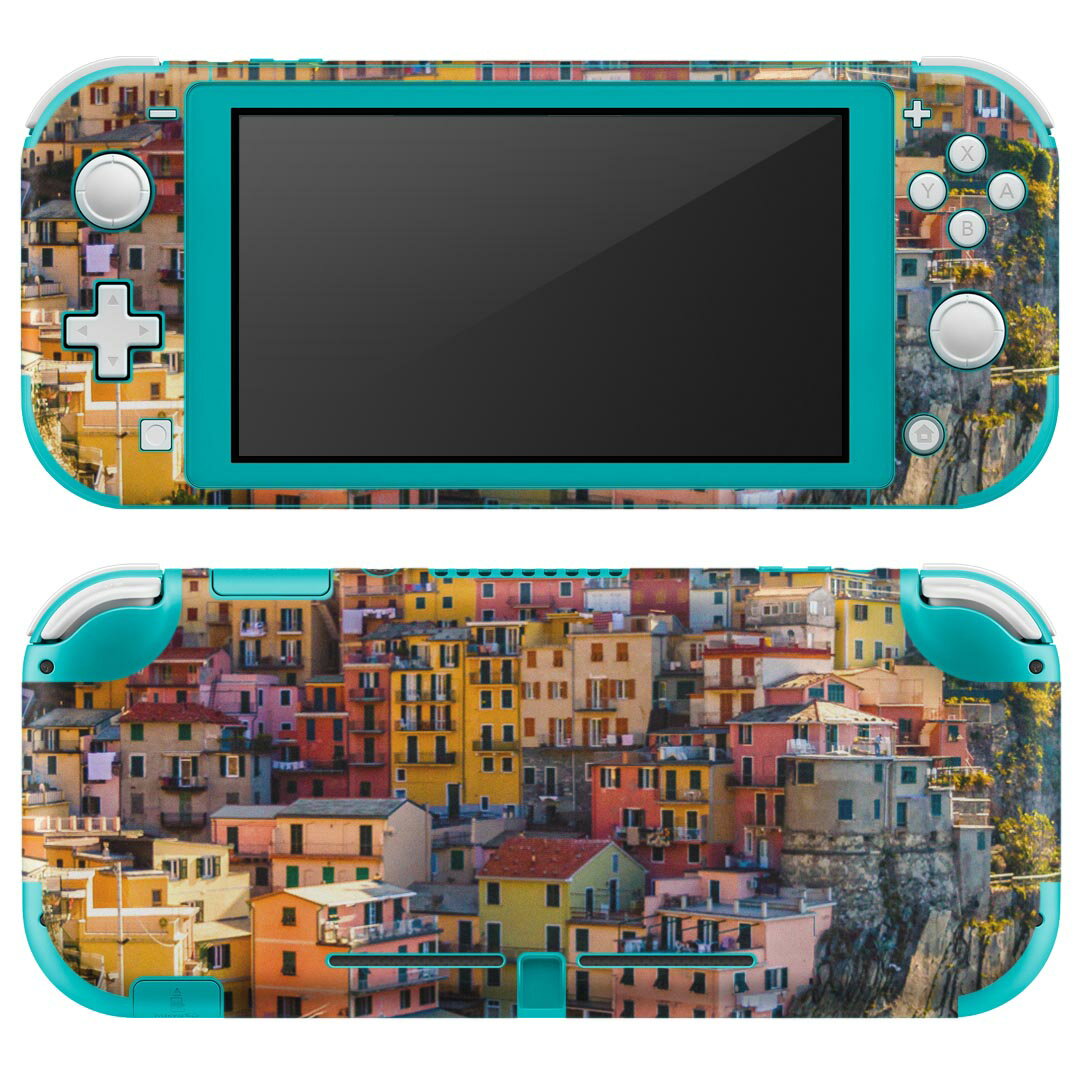 igsticker Nintendo Switch Lite 専用 デザインスキンシール 全面 ニンテンドー スイッチ ライト 専用 ゲーム機 カバー アクセサリー フィルム ステッカー エアフリー 023465 風景　写真