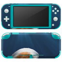 igsticker Nintendo Switch Lite 専用 デザインスキンシール 全面 ニンテンドー スイッチ ライト 専用 ゲーム機 カバー アクセサリー フィルム ステッカー エアフリー 023477 くらげ 写真 海(2)