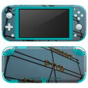 igsticker Nintendo Switch Lite 専用 デザインスキンシール 全面 ニンテンドー スイッチ ライト 専用 ゲーム機 カバー アクセサリー フィルム ステッカー エアフリー 023521 文字 写真(2)