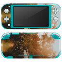 igsticker Nintendo Switch Lite 専用 デザインスキンシール 全面 ニンテンドー スイッチ ライト 専用 ゲーム機 カバー アクセサリー フィルム ステッカー エアフリー 023534 ウエディング カップル 写真(2)