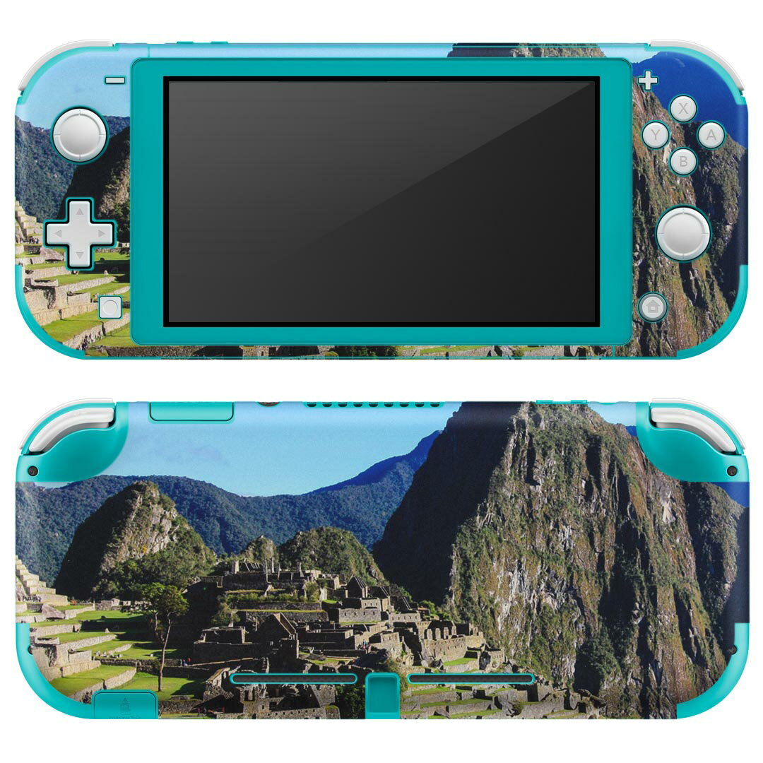 igsticker Nintendo Switch Lite 専用 デザインスキンシール 全面 ニンテンドー スイッチ ライト 専用 ゲーム機 カバー アクセサリー フィルム ステッカー エアフリー 023539 景色　写真　自然