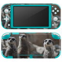 igsticker Nintendo Switch Lite 専用 デザインスキンシール 全面 ニンテンドー スイッチ ライト 専用 ゲーム機 カバー アクセサリー フィルム ステッカー エアフリー 023560 ミーアキャット 動物 写真
