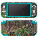 igsticker Nintendo Switch Lite 専用 デザインスキンシール 全面 ニンテンドー スイッチ ライト 専用 ゲーム機 カバー アクセサリー フィルム ステッカー エアフリー 023583 秋 植物 草