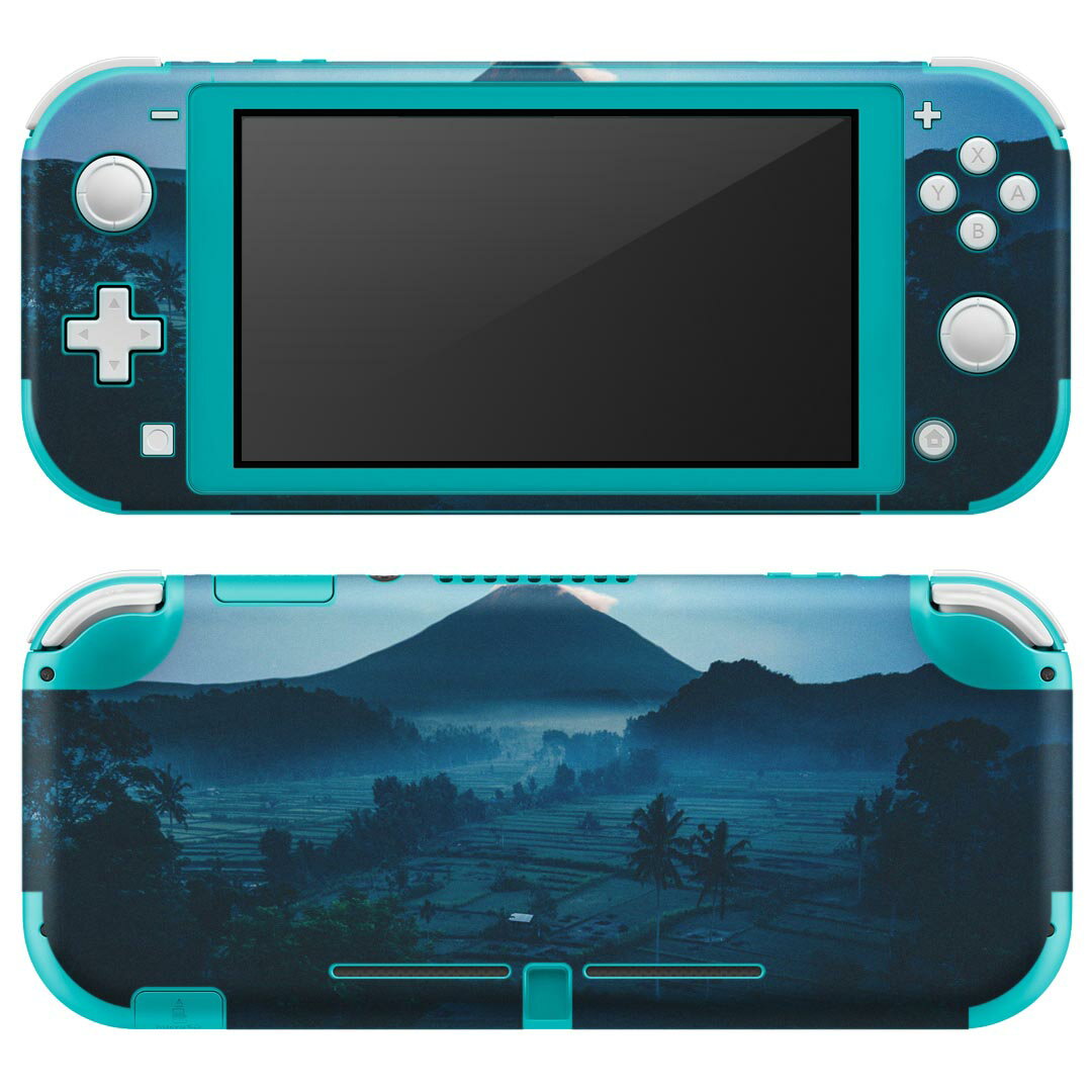 igsticker Nintendo Switch Lite 専用 デザインスキンシール 全面 ニンテンドー スイッチ ライト 専用 ゲーム機 カバー アクセサリー フィルム ステッカー エアフリー 023588 山　イラスト　自然