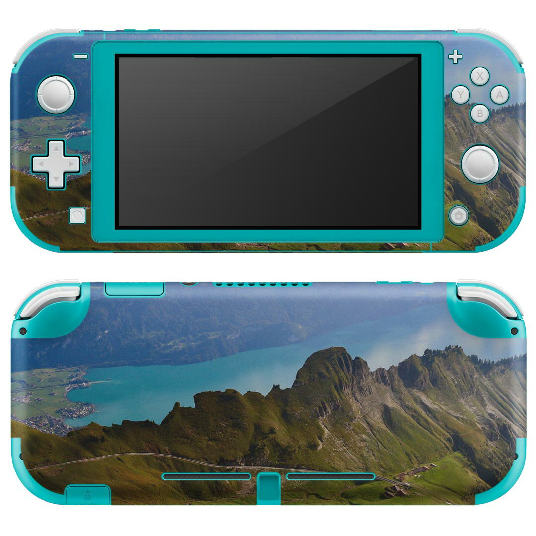 igsticker Nintendo Switch Lite 専用 デザインスキンシール 全面 ニンテンドー スイッチ ライト 専用 ゲーム機 カバー アクセサリー フィルム ステッカー エアフリー 023595 景色　写真　山