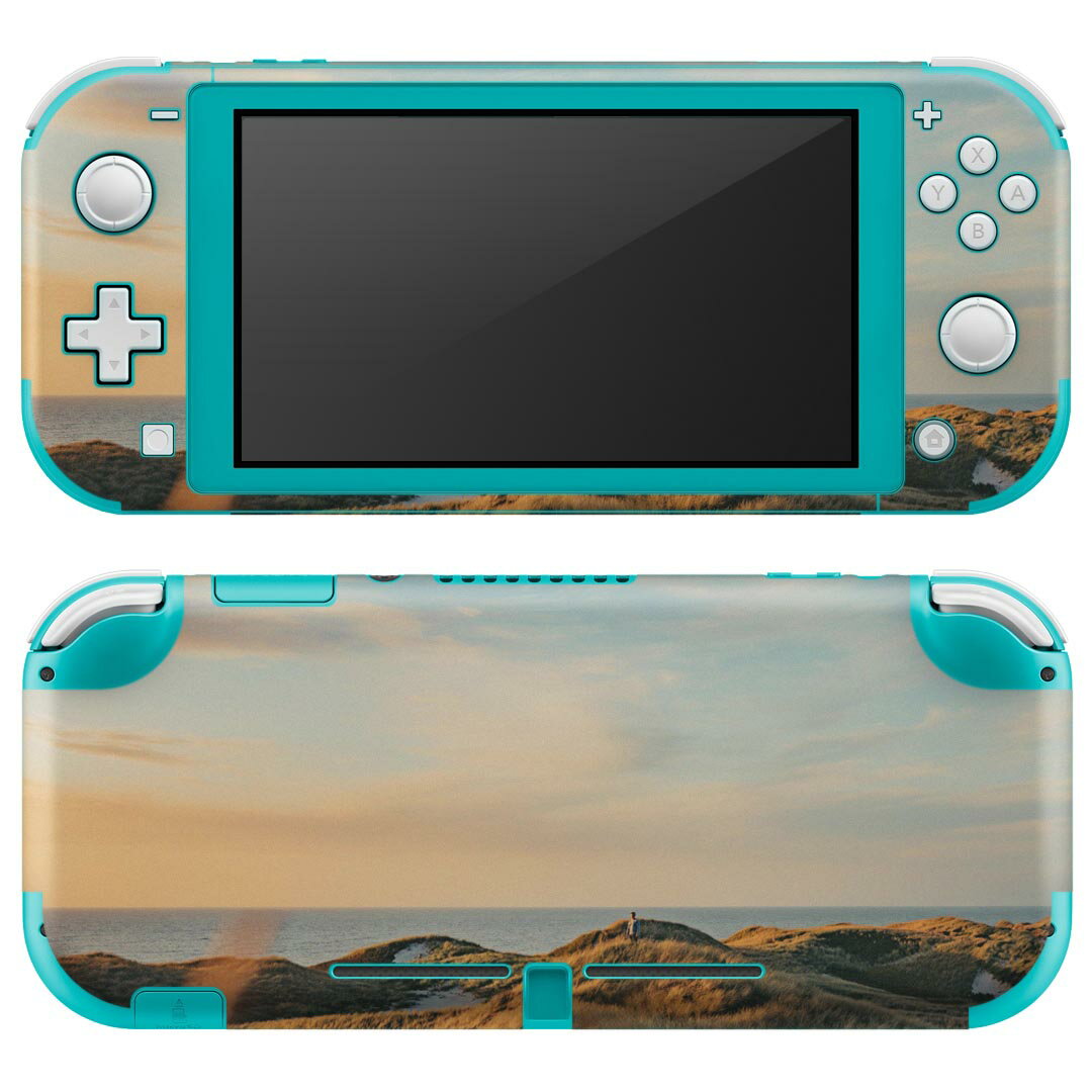 igsticker Nintendo Switch Lite 専用 デザインスキンシール 全面 ニンテンドー スイッチ ライト 専用 ゲーム機 カバー アクセサリー フィルム ステッカー エアフリー 023608 景色 写真