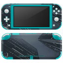 igsticker Nintendo Switch Lite p fUCXLV[ S jeh[ XCb` Cg p Q[@ Jo[ ANZT[ tB XebJ[ GAt[ 023615 r@ss