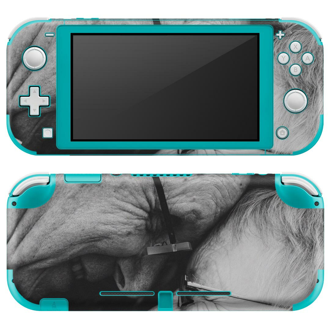 igsticker Nintendo Switch Lite 専用 デザインスキンシール 全面 ニンテンドー スイッチ ライト 専用 ゲーム機 カバー アクセサリー フィルム ステッカー エアフリー 023665 人物　モノクロ　写真
