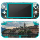 igsticker Nintendo Switch Lite p fUCXLV[ S jeh[ XCb` Cg p Q[@ Jo[ ANZT[ tB XebJ[ GAt[ 023693 i@ʐ^