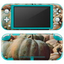 igsticker Nintendo Switch Lite p fUCXLV[ S jeh[ XCb` Cg p Q[@ Jo[ ANZT[ tB XebJ[ GAt[ 023702 ڂ@nEB@ʐ^