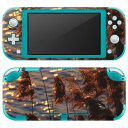 igsticker Nintendo Switch Lite p fUCXLV[ S jeh[ XCb` Cg p Q[@ Jo[ ANZT[ tB XebJ[ GAt[ 023719 ppXOX@A@