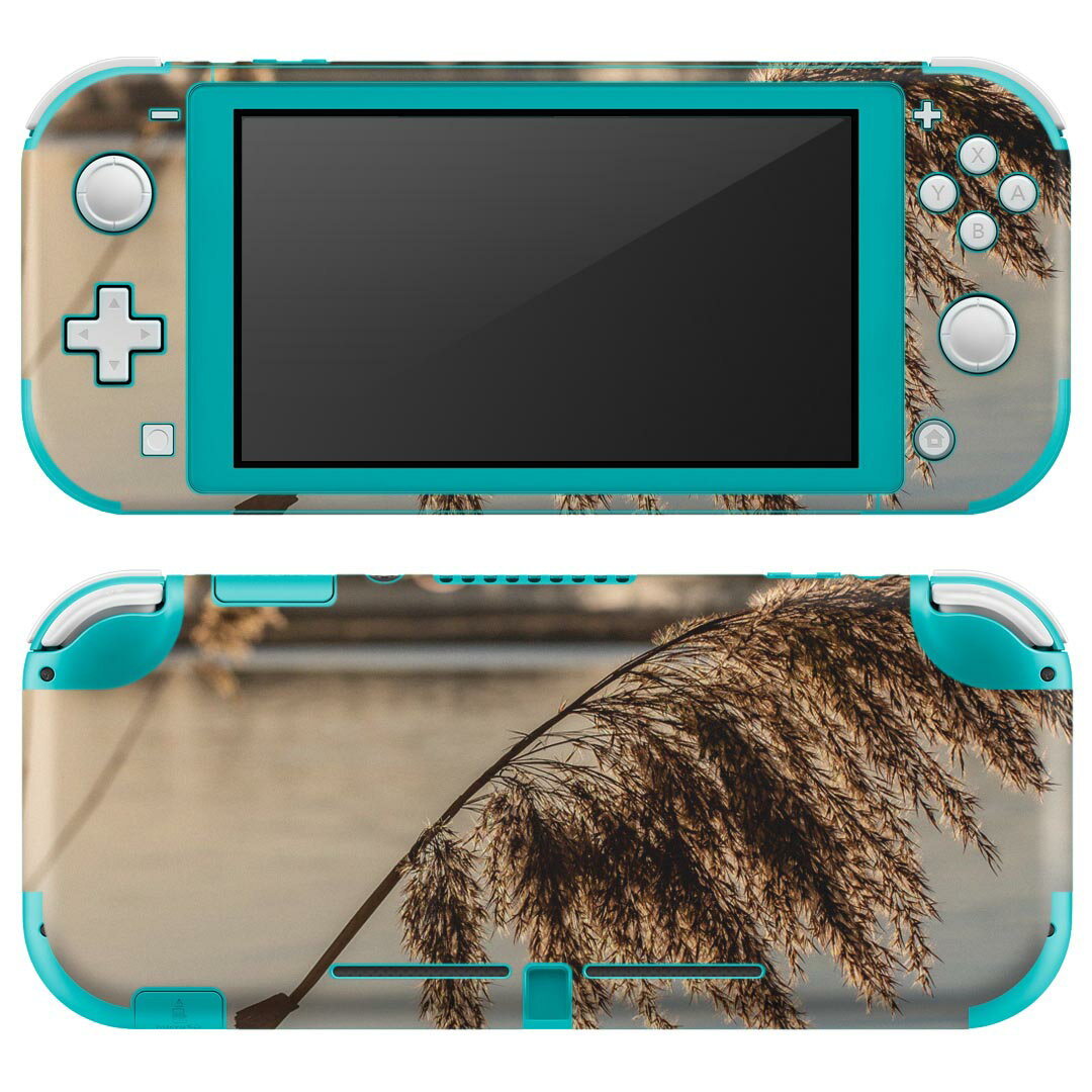 igsticker Nintendo Switch Lite 専用 デザインスキンシール 全面 ニンテンドー スイッチ ライト 専用 ゲーム機 カバー アクセサリー フィルム ステッカー エアフリー 023723 パンパスグラス 植物 水面